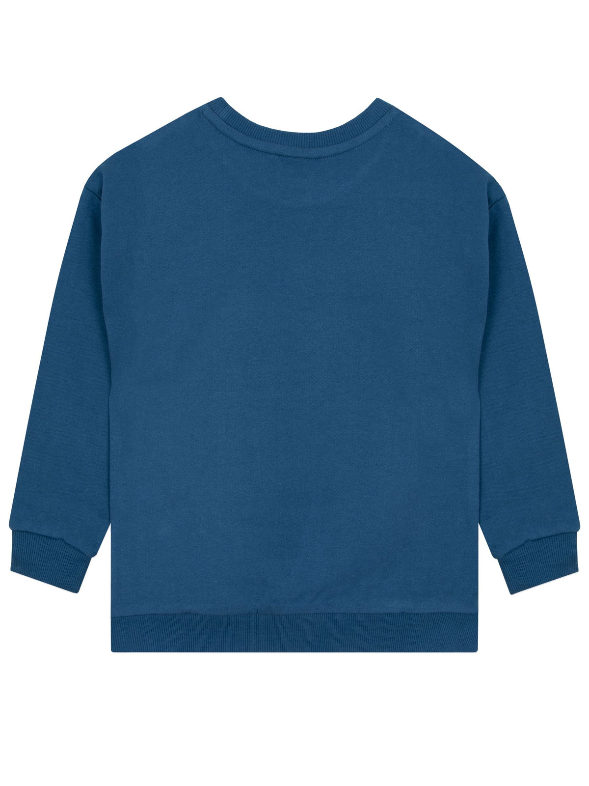 Character Blue Bluey Sweatshirt - image 5
