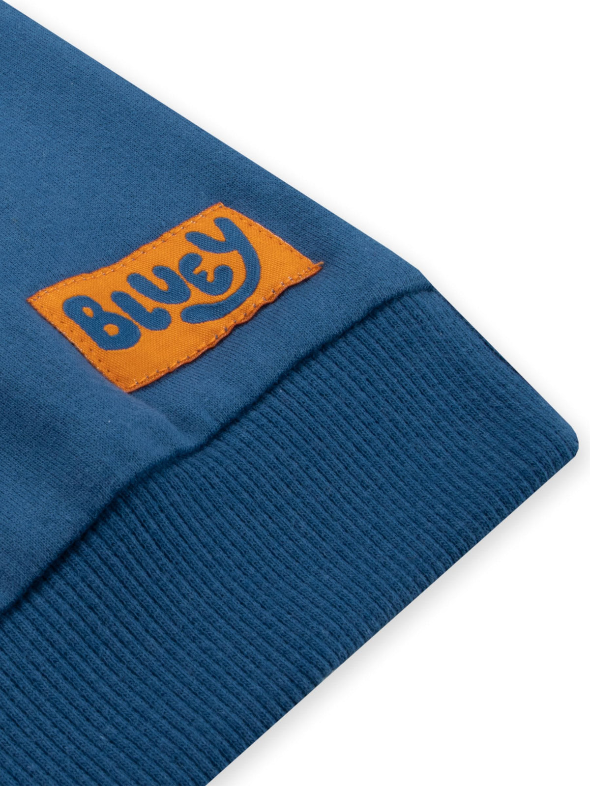 Character Blue Bluey Sweatshirt - image 8