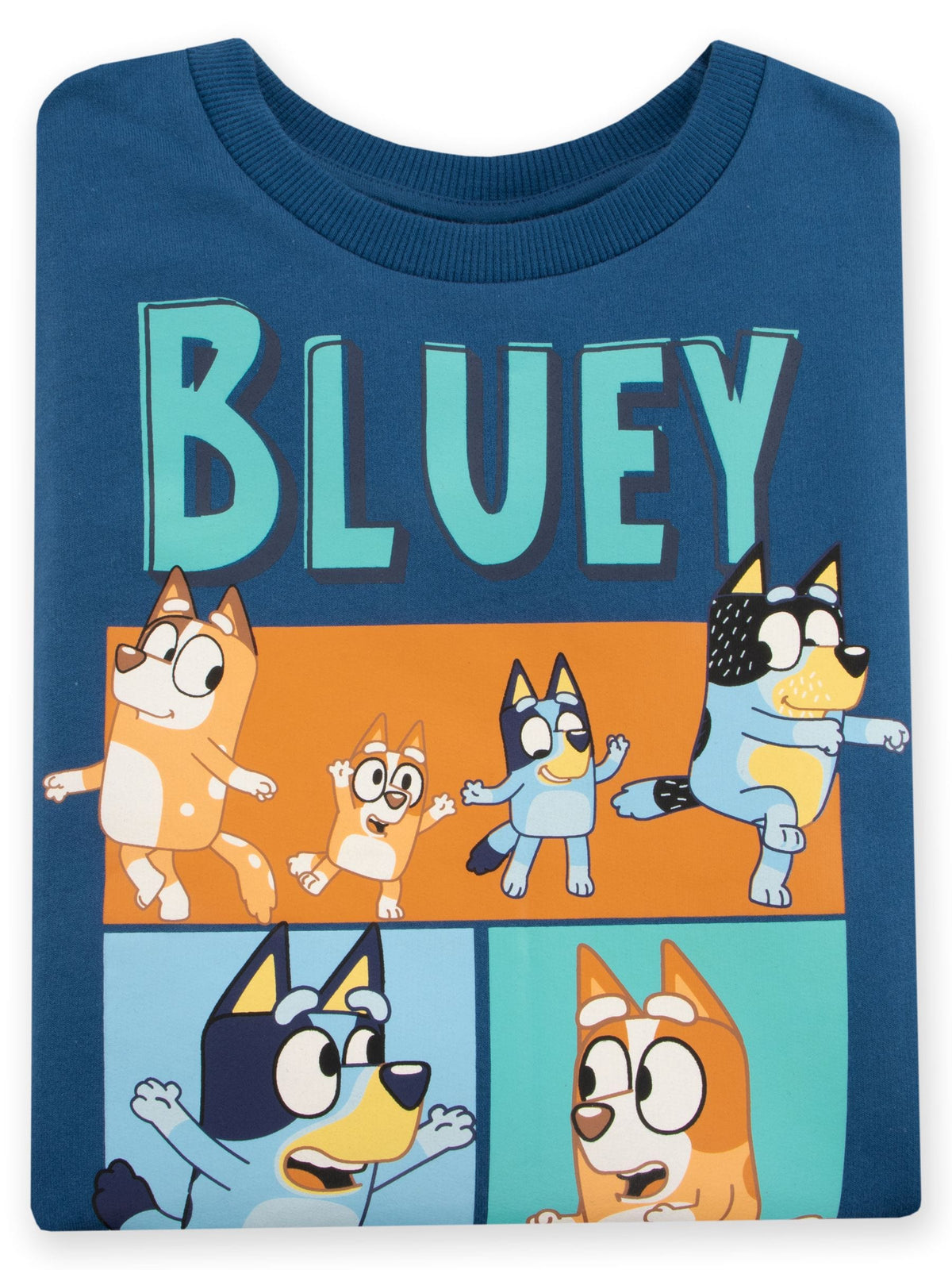 Character Blue Bluey Sweatshirt - image 9