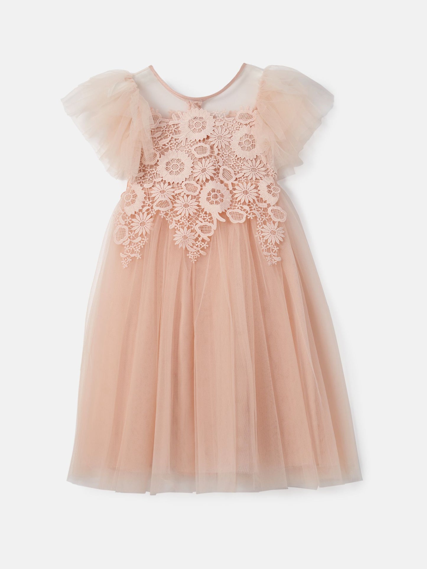 Angel & Rocket Pink Cascade Lace Anelise Dress image 7