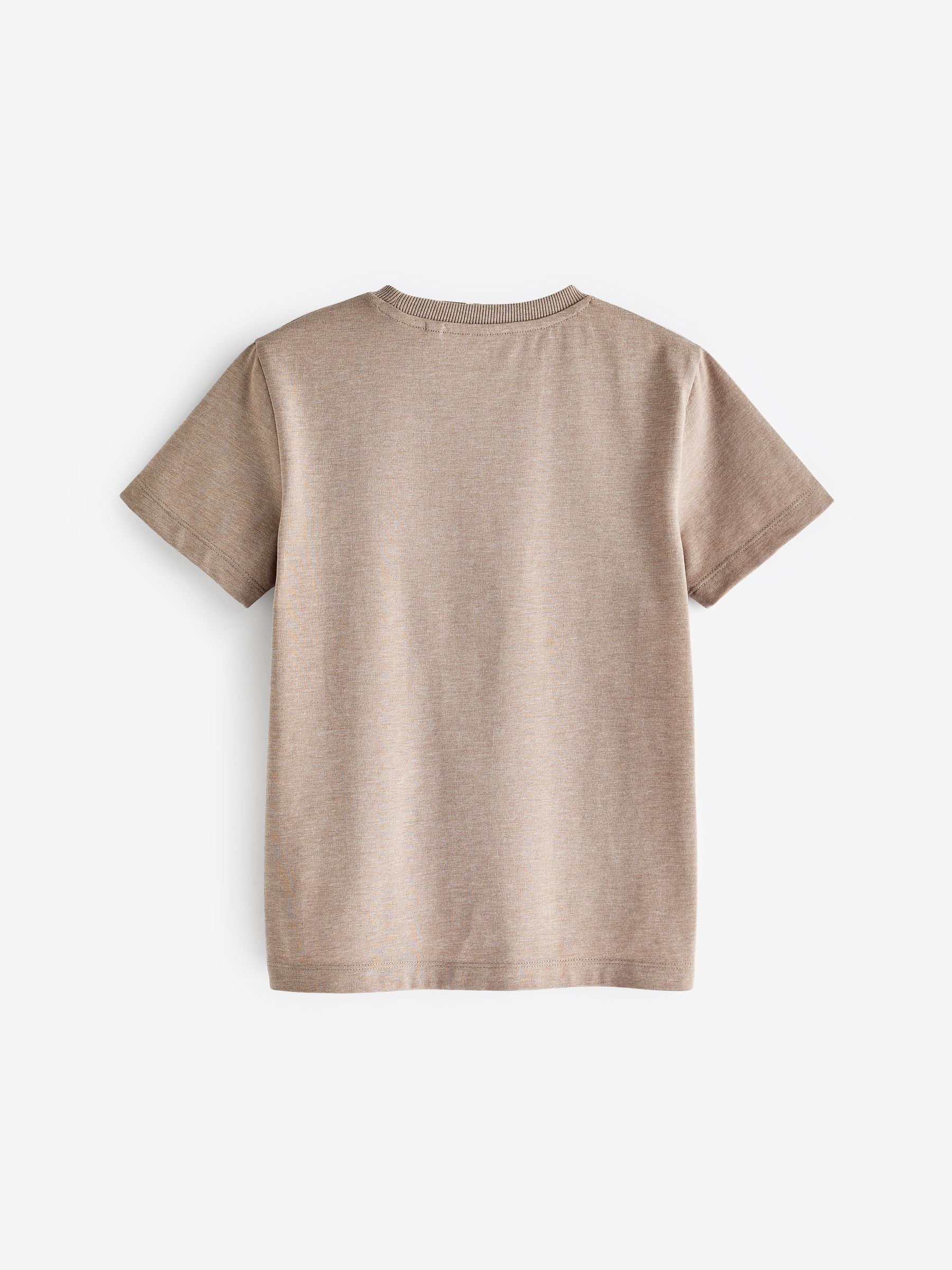 Dsiney Kidz - Natural Stone Regular Fit Short Sleeve T-Shirt (3-16yrs) image 2