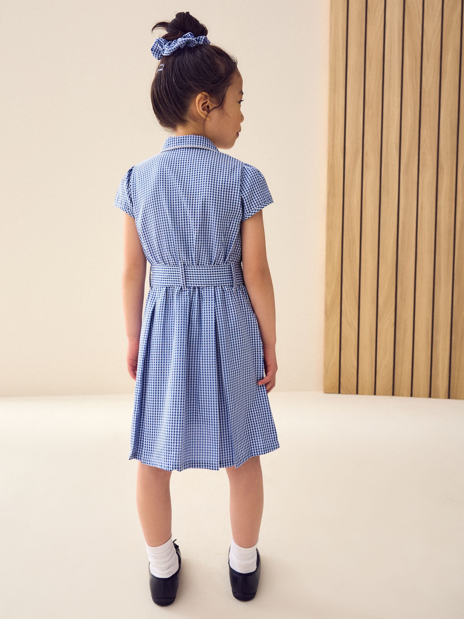 Mid Blue Gingham Cotton Rich Belted School Dress with Scrunchie (3-14yrs) image 4