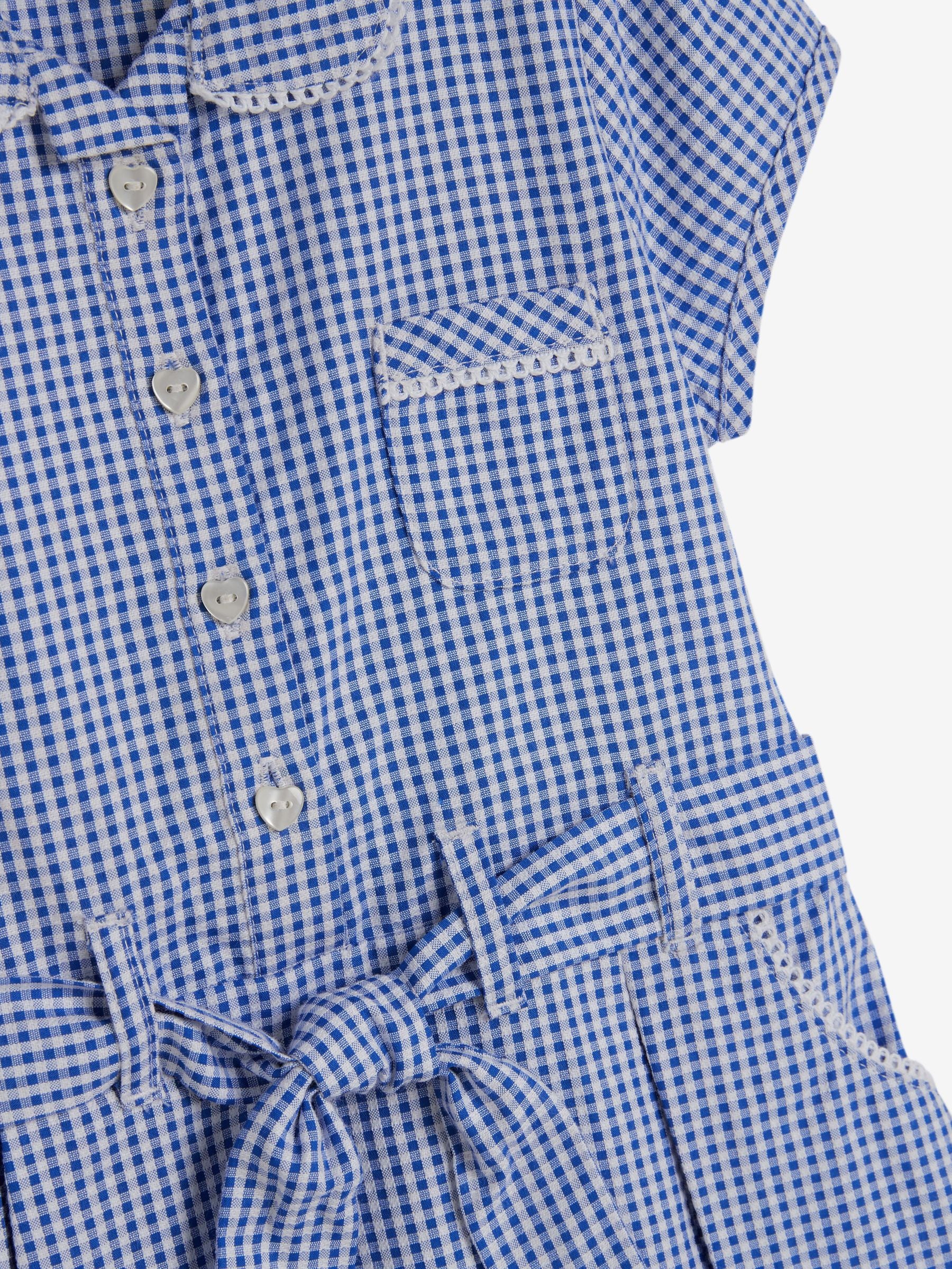 Mid Blue Gingham Cotton Rich Belted School Dress with Scrunchie (3-14yrs) image 8