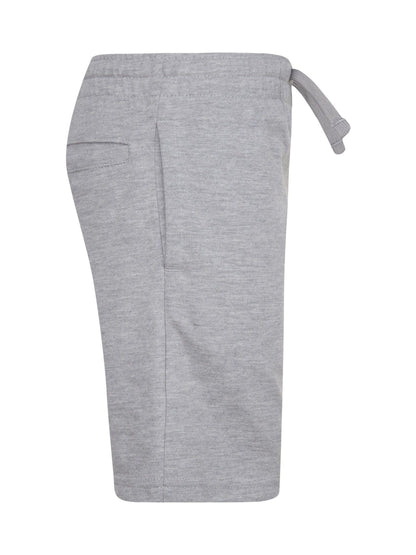 Dsiney Kidz - Nike Grey Little Kids Club Shorts image 5
