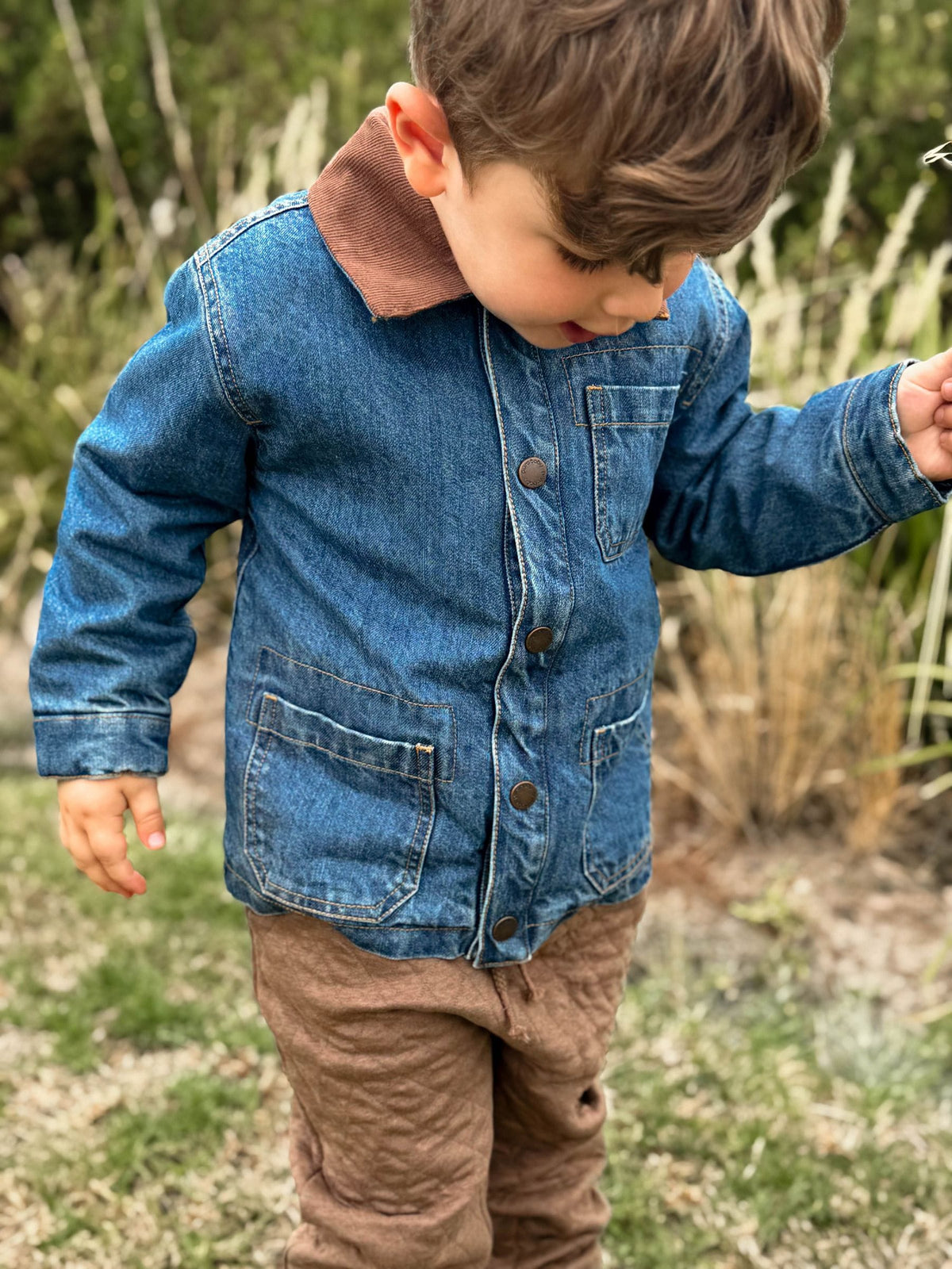 Purebaby Blue Denim Worker Jacket with Corduroy Collar - image 1