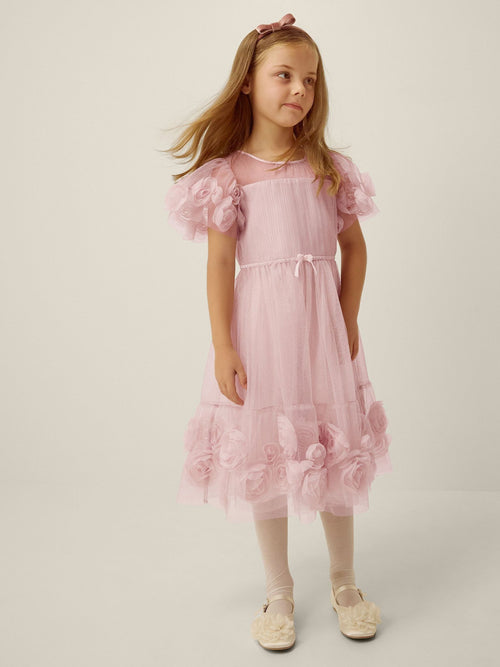 Dsiney Kidz - Monsoon Pink Remi Rose Appliqué Glitter Party Dress image 1