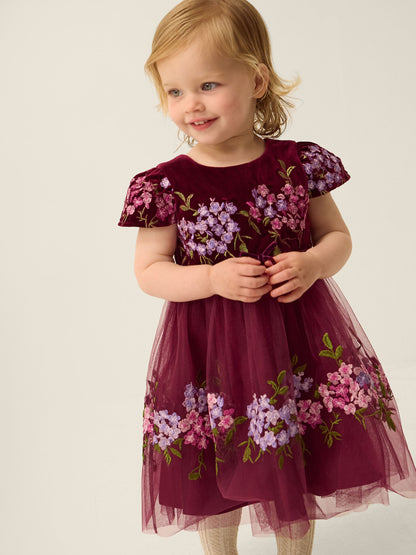 Dsiney Kidz - Monsoon Red Baby Ruby Floral Embroidered Velvet Party Dress image 1
