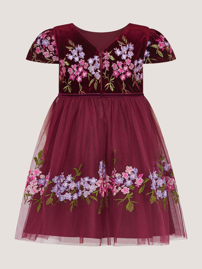 Dsiney Kidz - Monsoon Red Baby Ruby Floral Embroidered Velvet Party Dress image 3