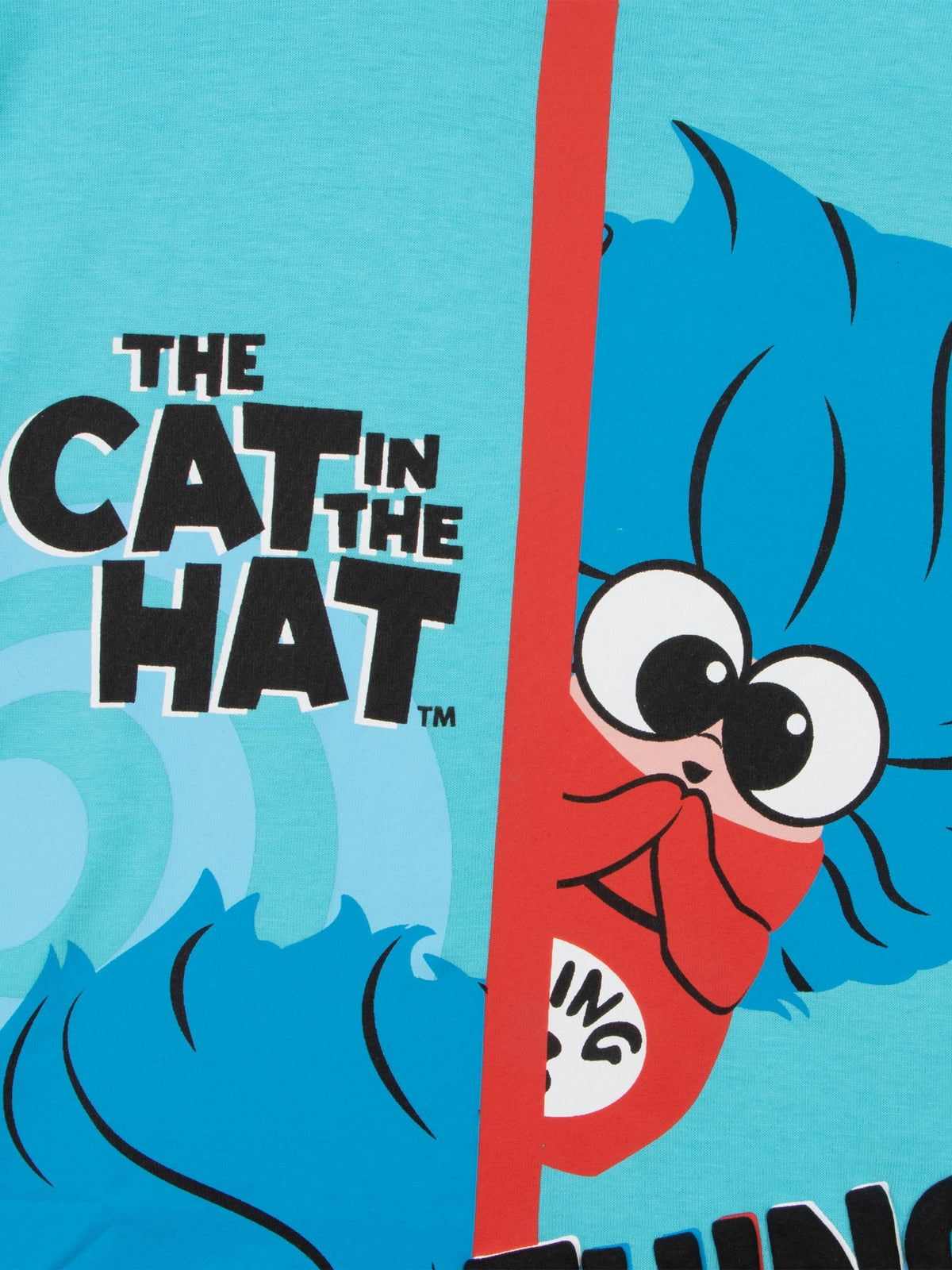 Character Blue Dr. Seuss The Cat In The Hat Movie Thing 1 and Thing 3 T-Shirt - image 9