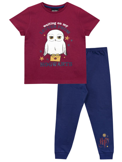 Character Blue Harry Potter Letter From Hogwarts Hedwig Pyjamas - image 1