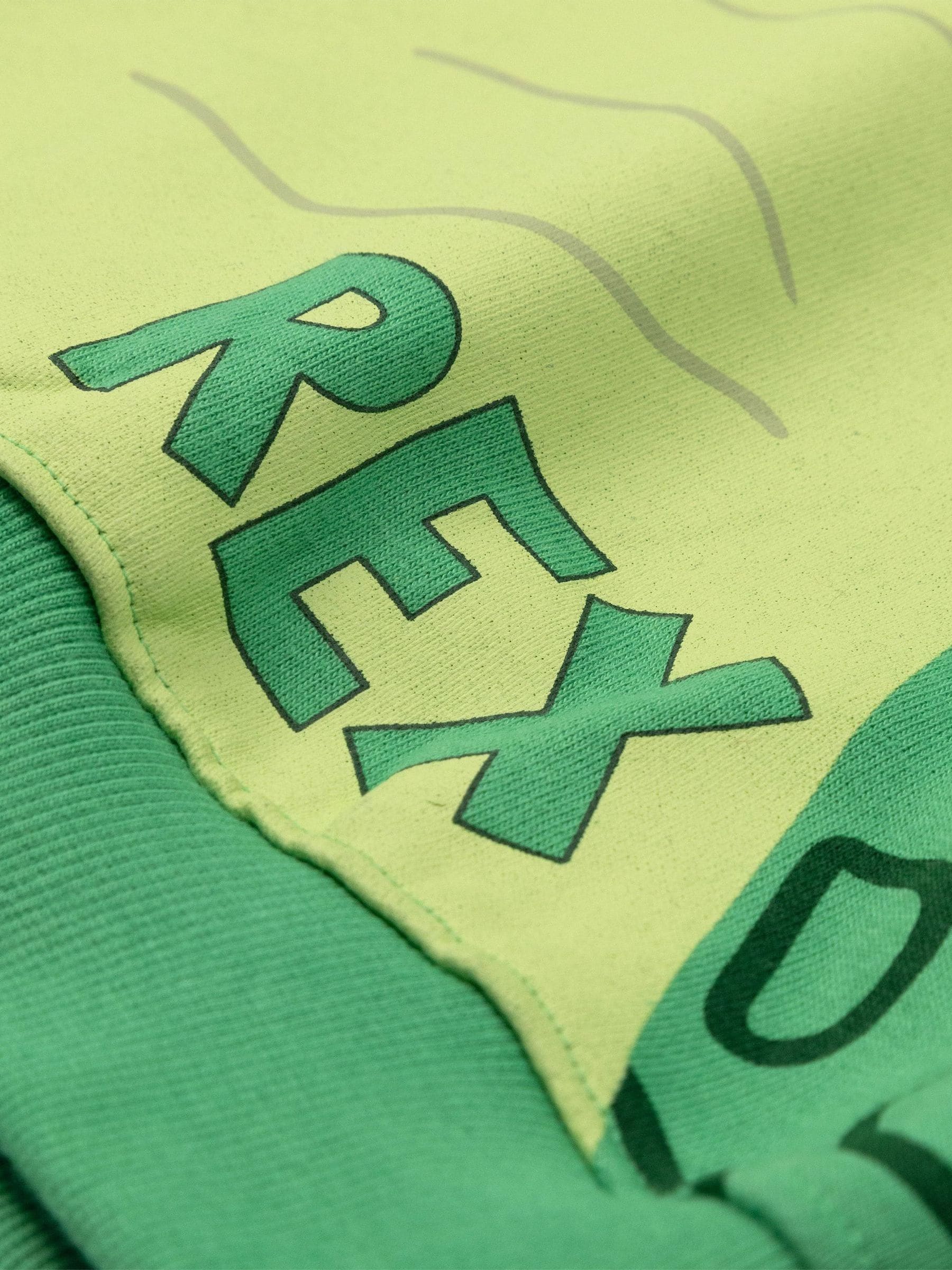 Dsiney Kidz - Vanilla Underground Green Disney Toy Story Rex Hoodie image 7