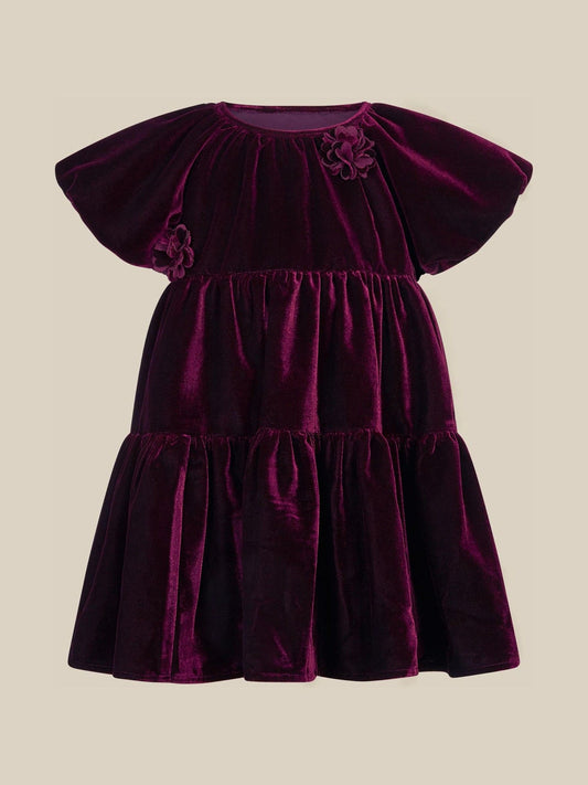 Monsoon Purple Baby Leila Corsage Velvet Party Dress - image 1