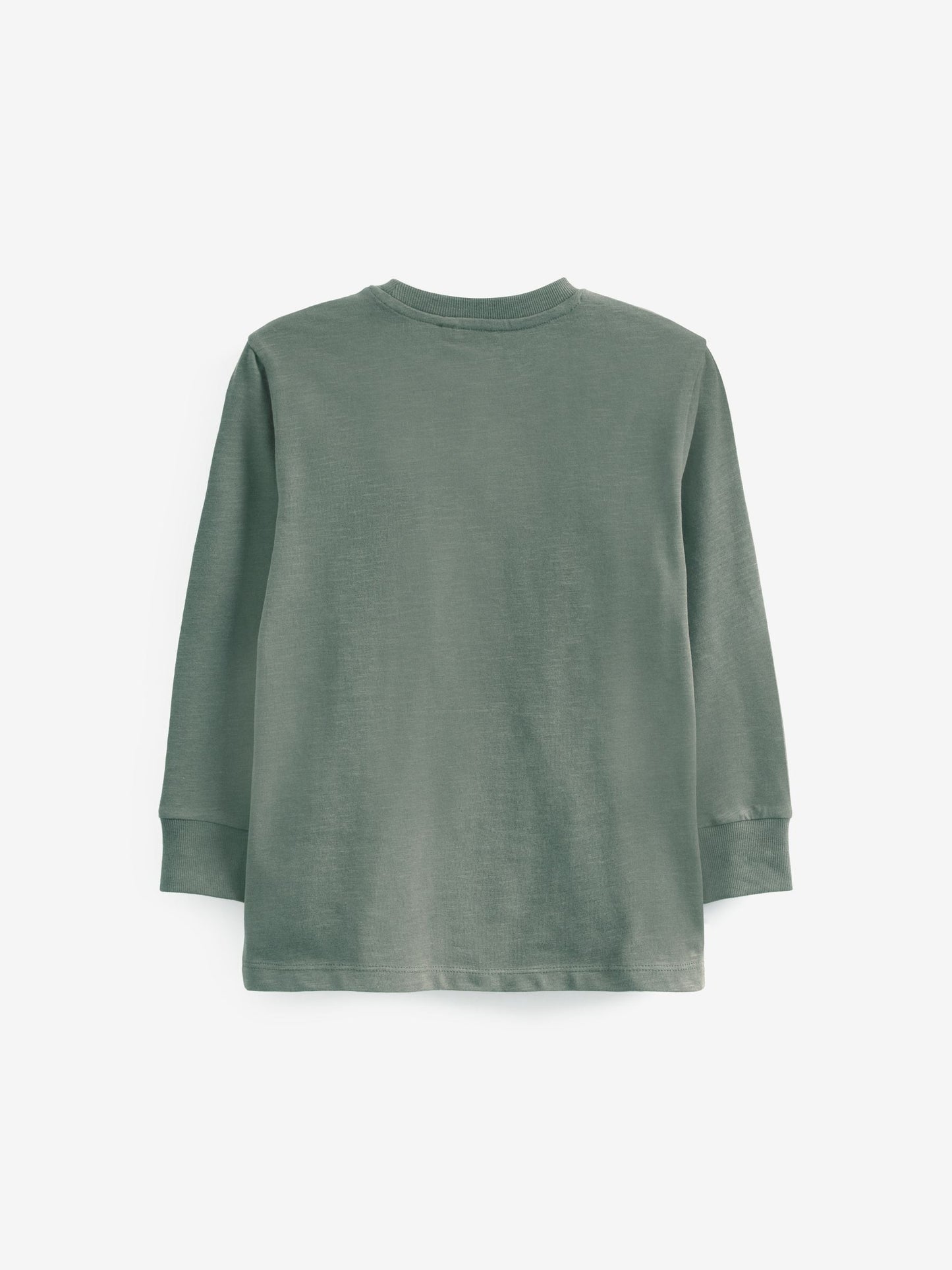 Green Mineral Regular Fit Long Sleeve Cosy T-Shirt (3-16yrs) image 2