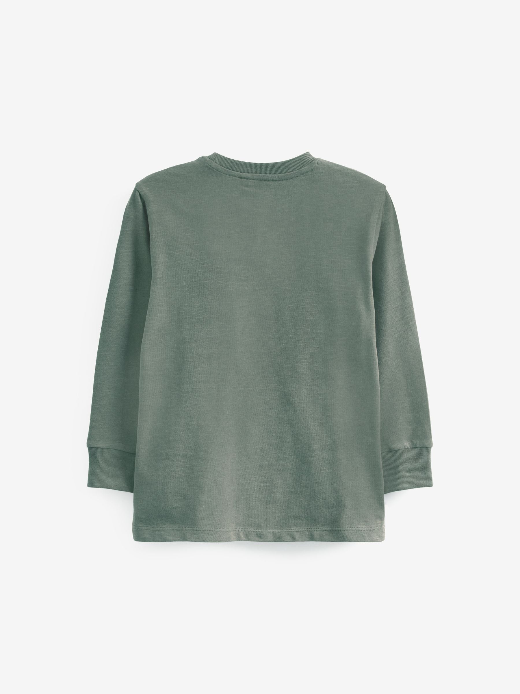 Green Mineral Regular Fit Long Sleeve Cosy T-Shirt (3-16yrs) image 2