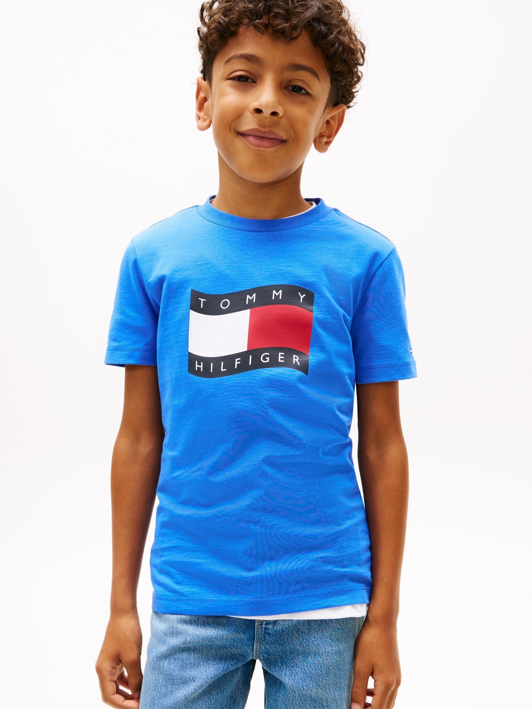 Tommy Hilfiger Blue Wavy Flag Jersey Crew Neck T-Shirt image 1