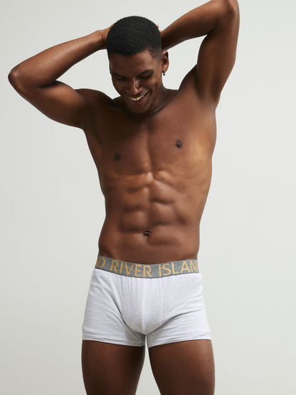 Dsiney Kidz - River Island Grey Metallic Waistband Trunks 5 Pack image 3
