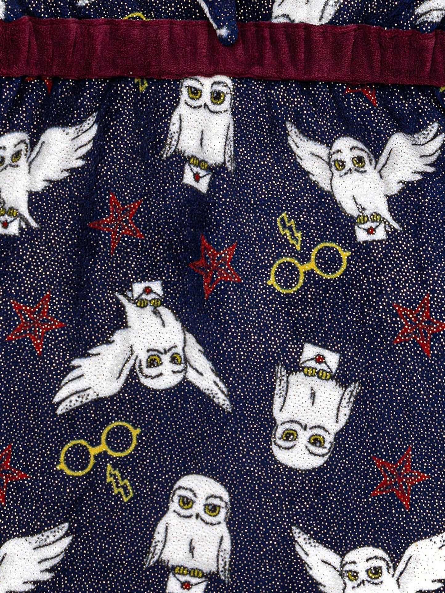 Dsiney Kidz - Vanilla Underground Blue Harry Potter Unisex Kids Fleece Dressing Gown Robe image 5