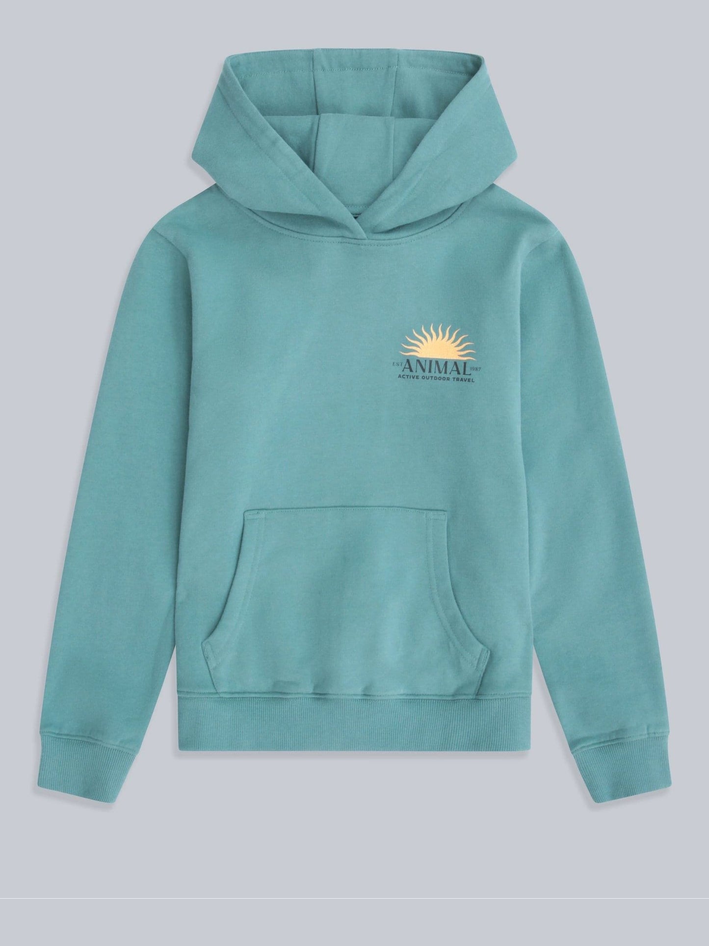 Dsiney Kidz - Animal Green River Kids Graphic Hoodie image 1