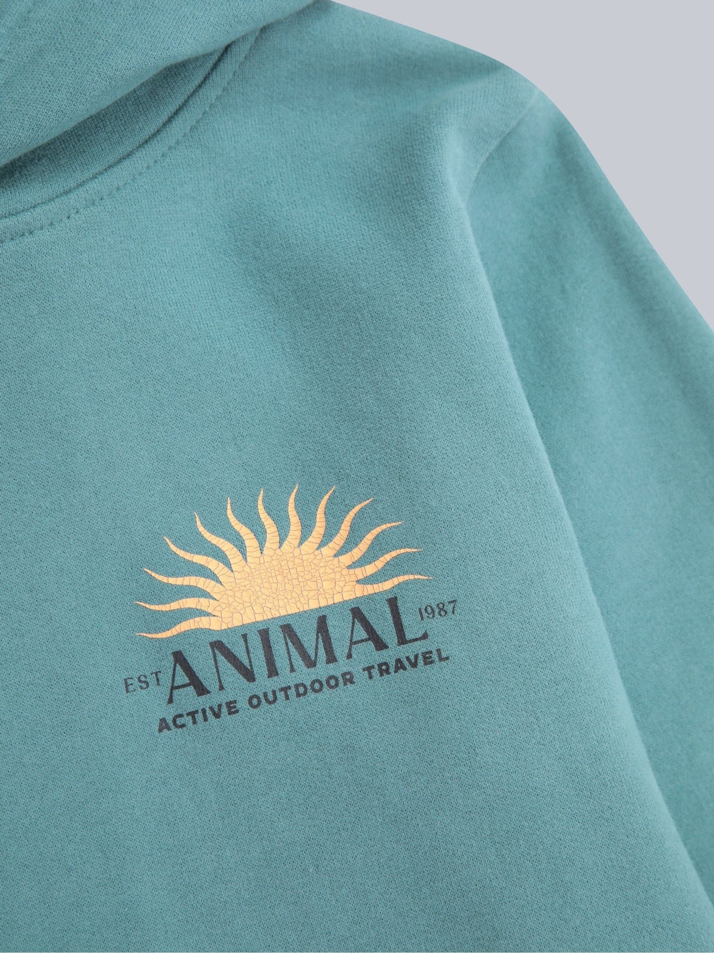 Dsiney Kidz - Animal Green River Kids Graphic Hoodie image 3