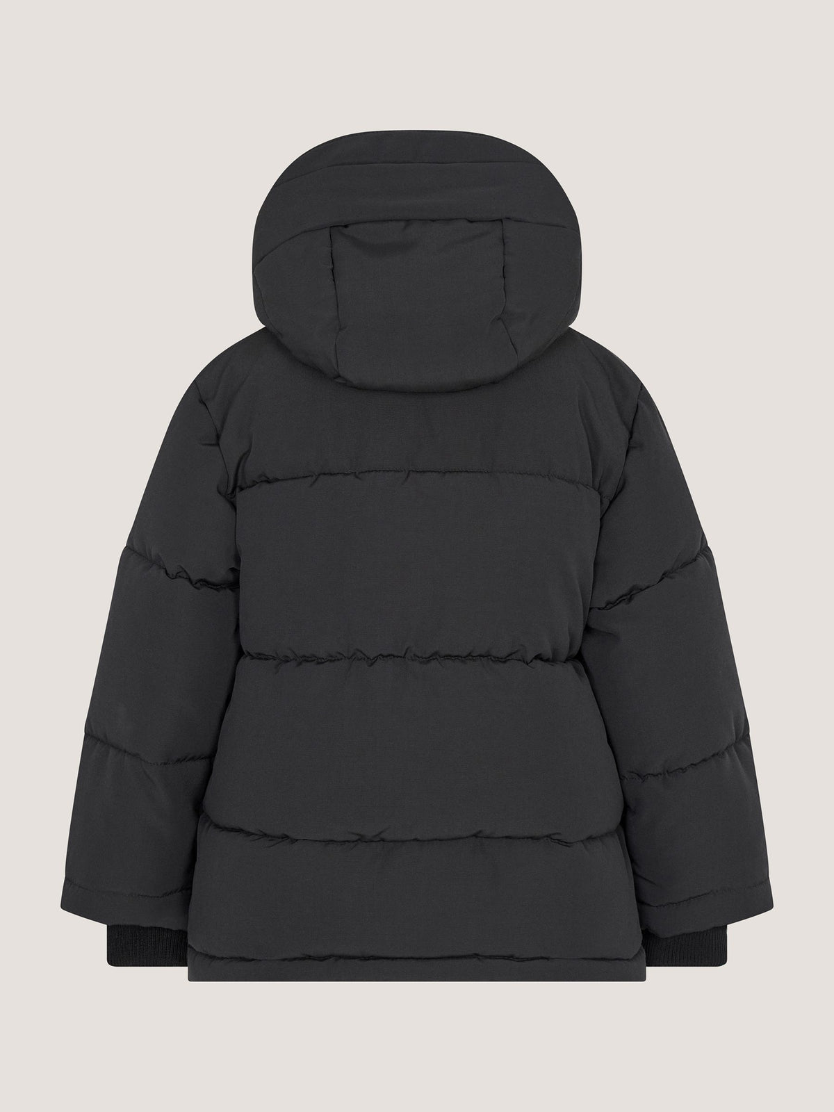 Dsiney Kidz - Monsoon Black Hooded Puffer Jacket image 2