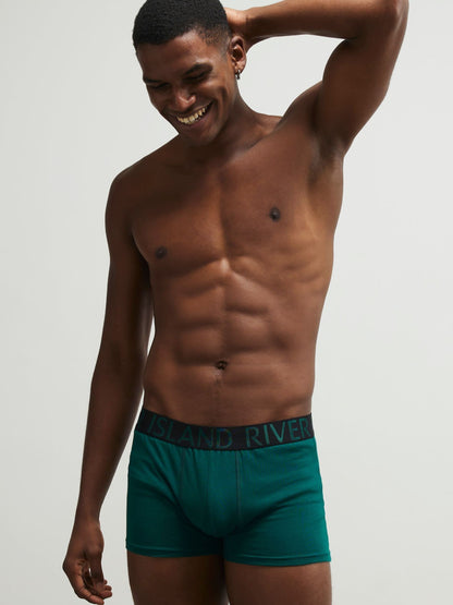 Dsiney Kidz - River Island Green Metallic Waistband Trunks 5 Pack image 2