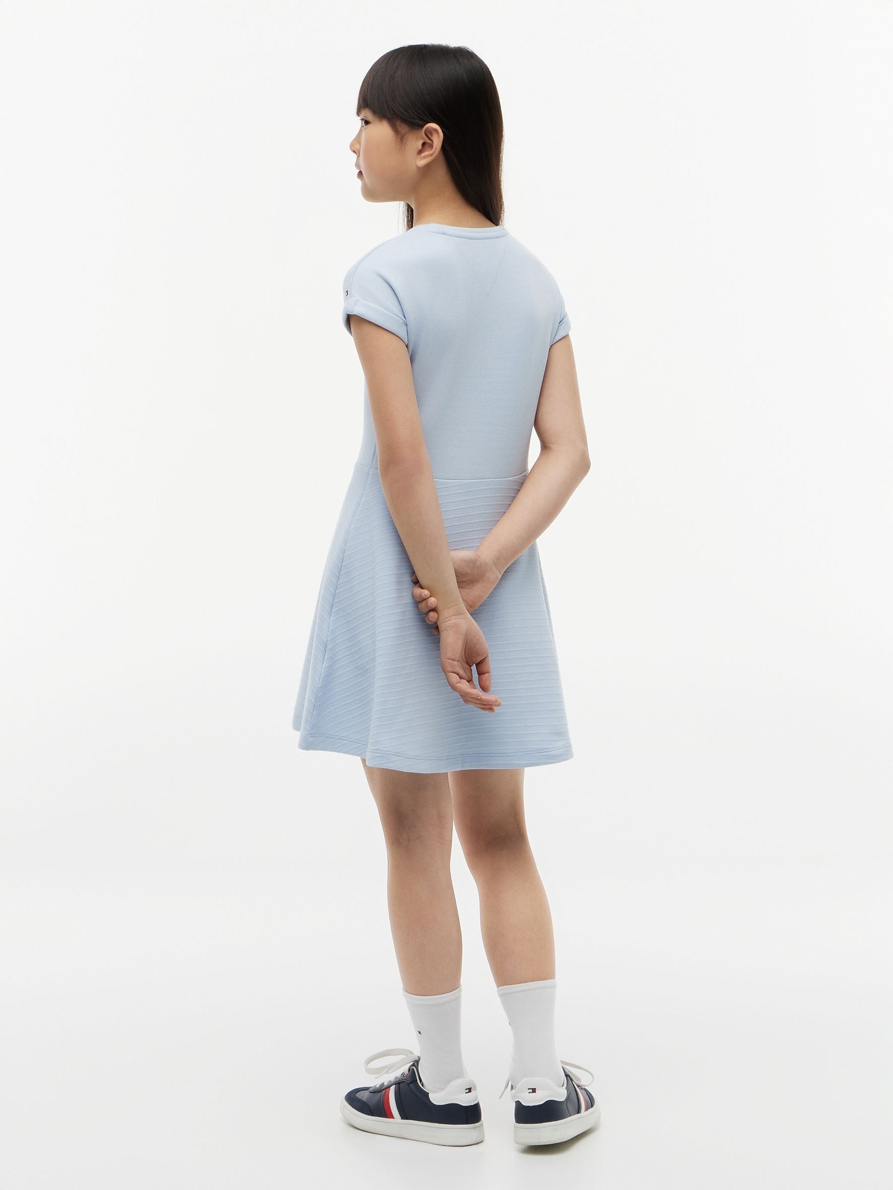 Tommy Hilfiger Blue Tonal Flag Logo Skater Dress image 2