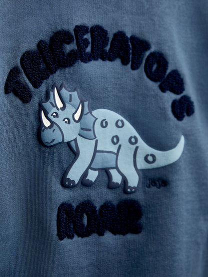 Dsiney Kidz - JoJo Maman Bébé Blue Triceratops Sweatshirt image 3