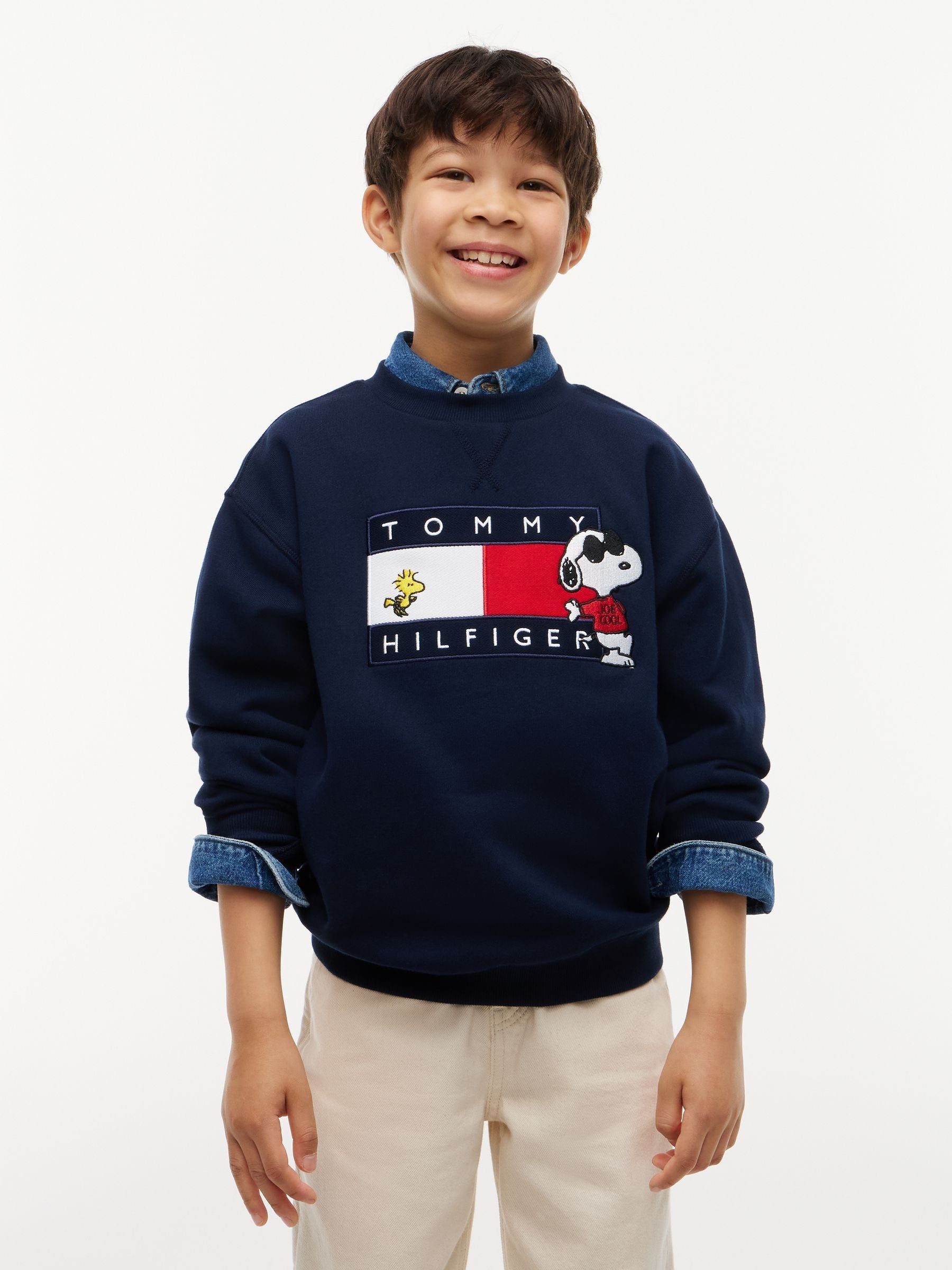 Dsiney Kidz - Tommy Hilfiger Blue Peanuts® Flag Graphic Embroidery Jumper image 1