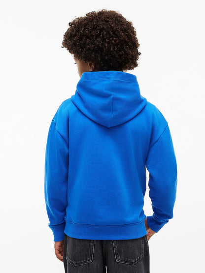 Dsiney Kidz - Tommy Hilfiger Blue Flag Logo Hoodie image 2