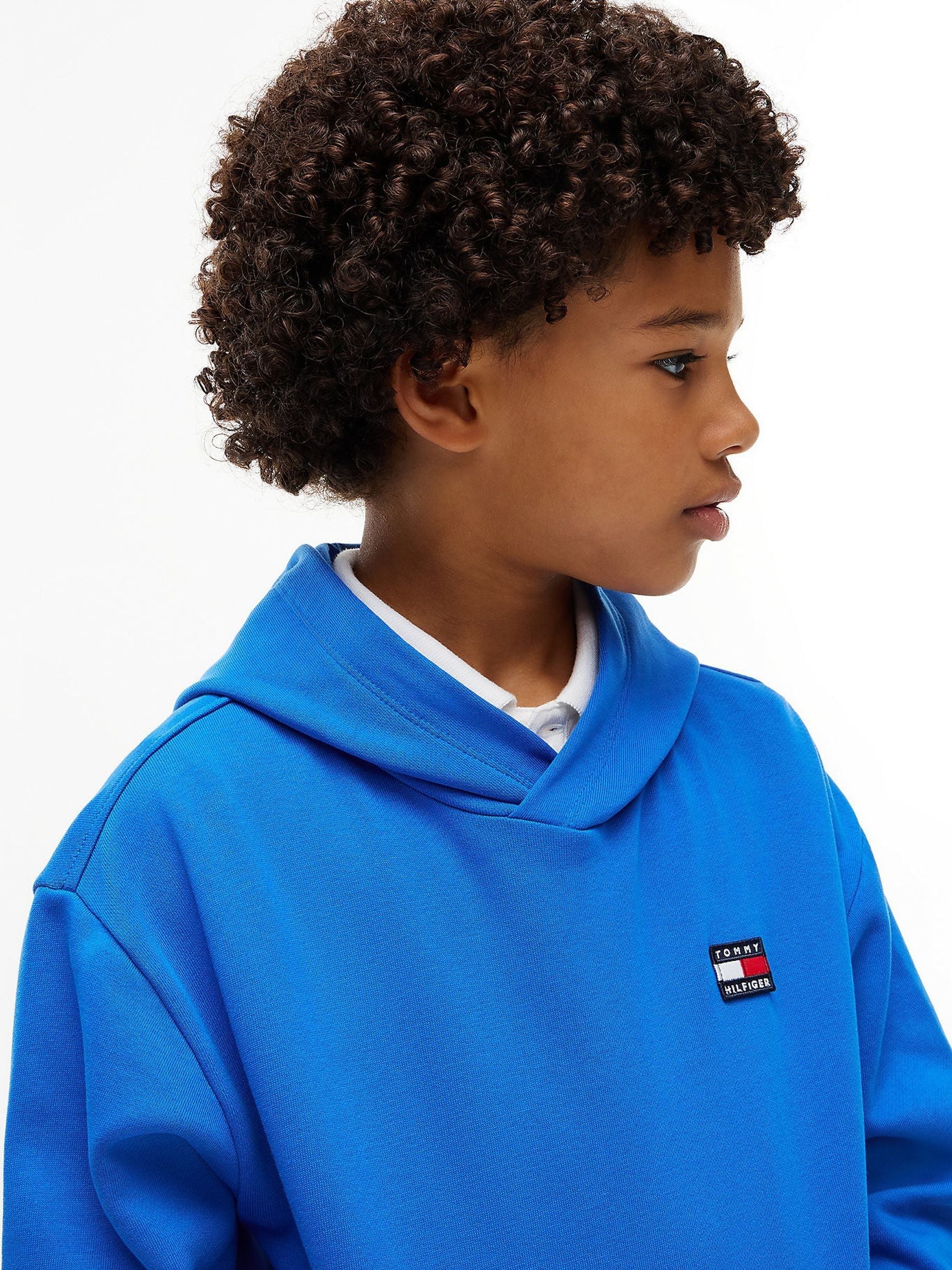 Dsiney Kidz - Tommy Hilfiger Blue Flag Logo Hoodie image 4
