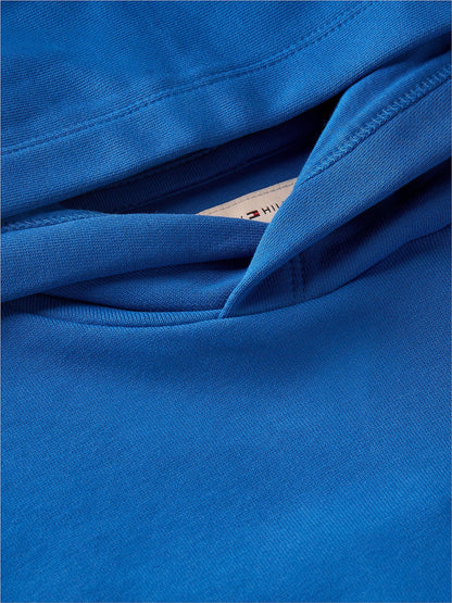 Dsiney Kidz - Tommy Hilfiger Blue Flag Logo Hoodie image 6