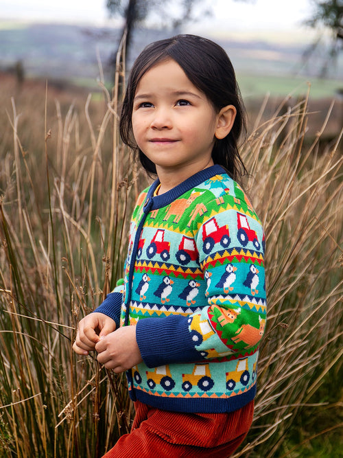 Dsiney Kidz - Frugi Blue Robyn Fairisle Cardigan image 1