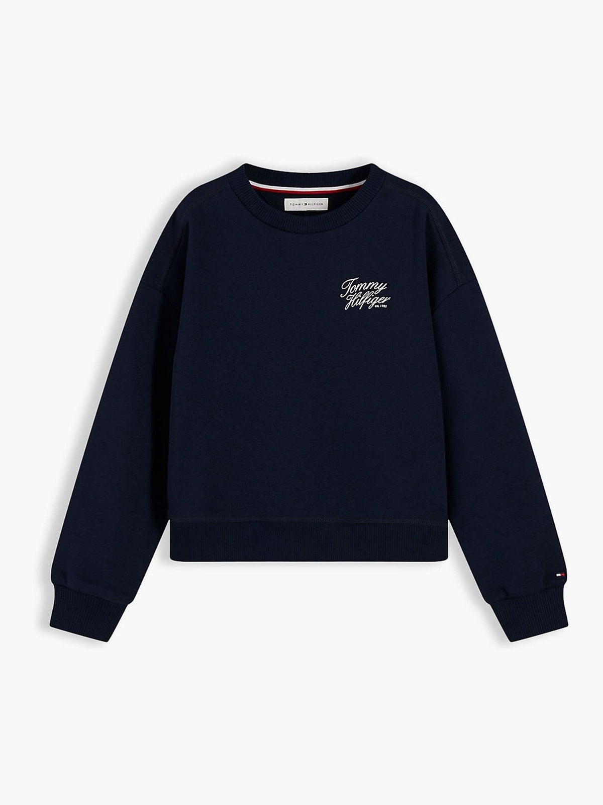 Dsiney Kidz - Tommy Hilfiger Blue Logo Terry Relaxed Sweatshirt image 5