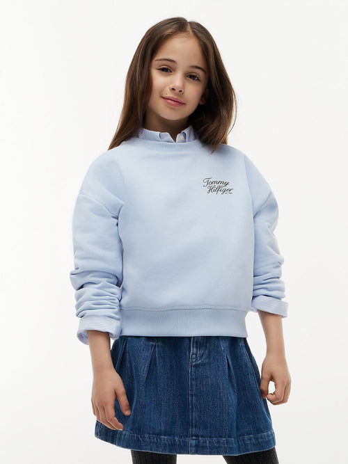 Dsiney Kidz - Tommy Hilfiger Sky Blue Logo Terry Relaxed Sweatshirt image 1