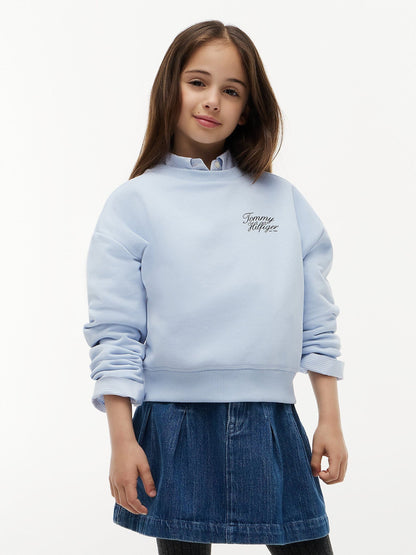 Dsiney Kidz - Tommy Hilfiger Sky Blue Logo Terry Relaxed Sweatshirt image 1