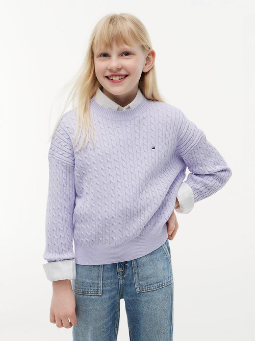 Dsiney Kidz - Tommy Hilfiger Purple Relaxed Cable Knit Jumper image 1