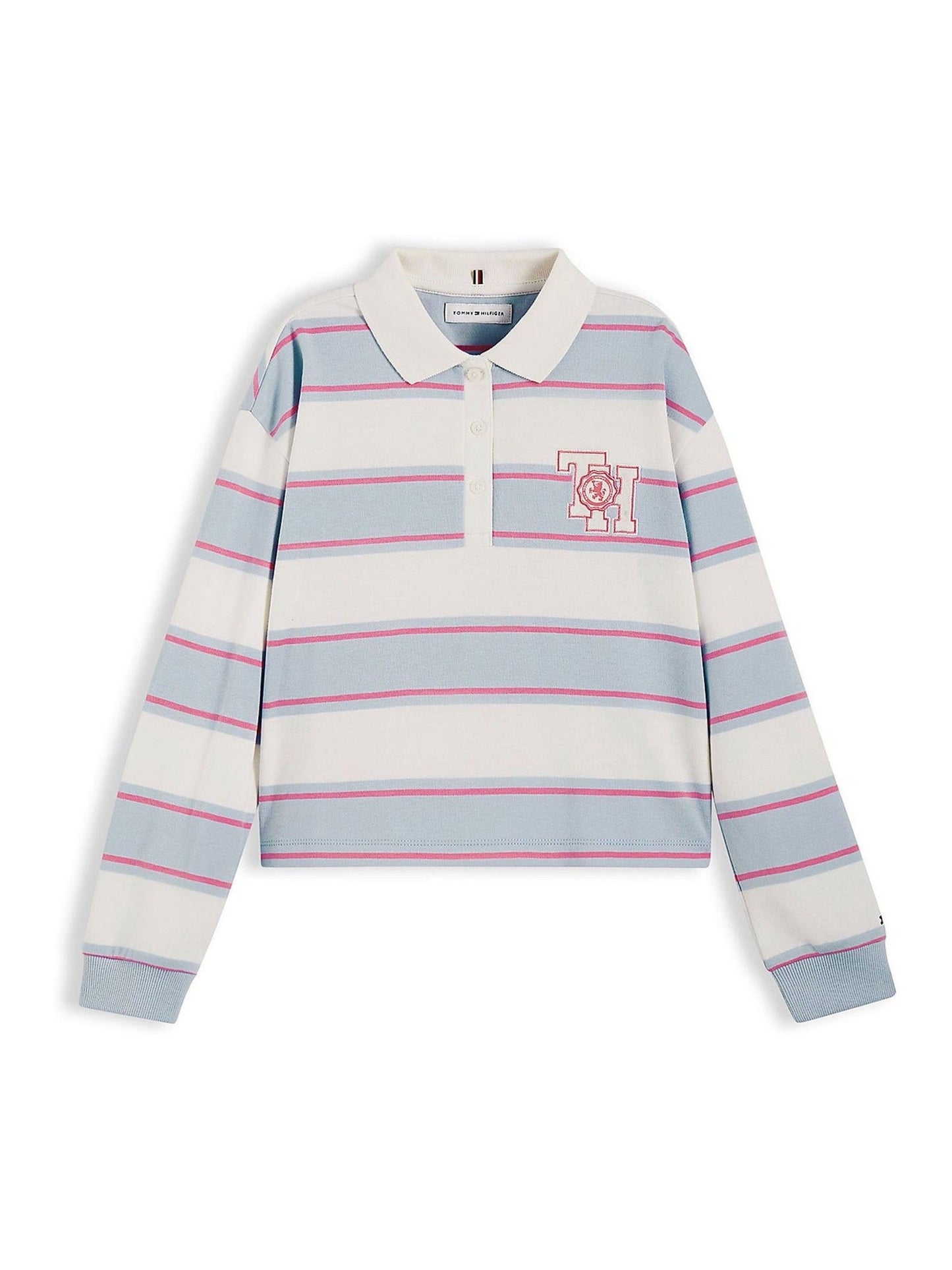 Dsiney Kidz - Tommy Hilfiger Blue Relaxed Fit Stripe Long Sleeve Polo Shirt image 5