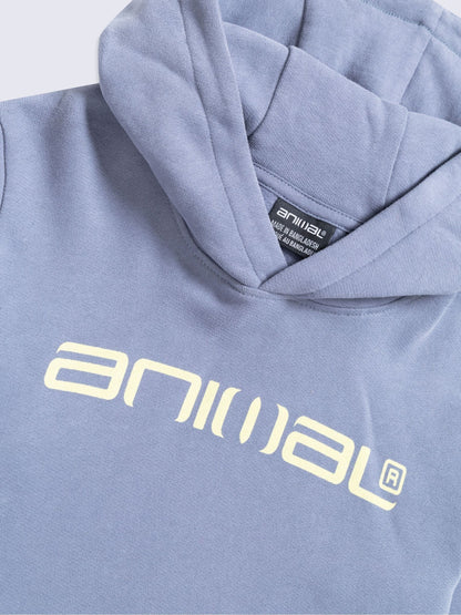 Animal Blue River Graphic Hoodie - image 3