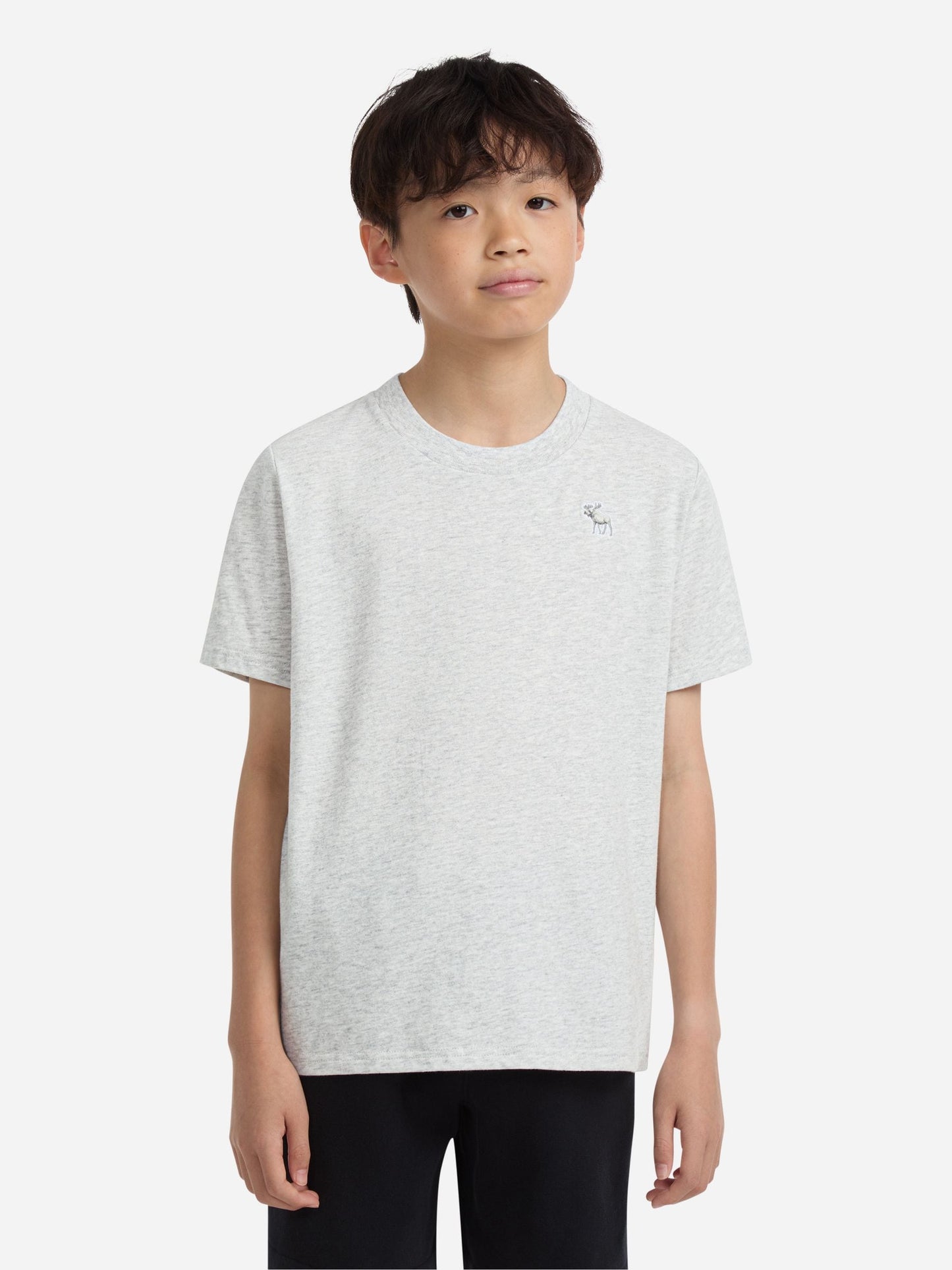 Dsiney Kidz - Abercrombie & Fitch Grey Essential T-Shirt image 1