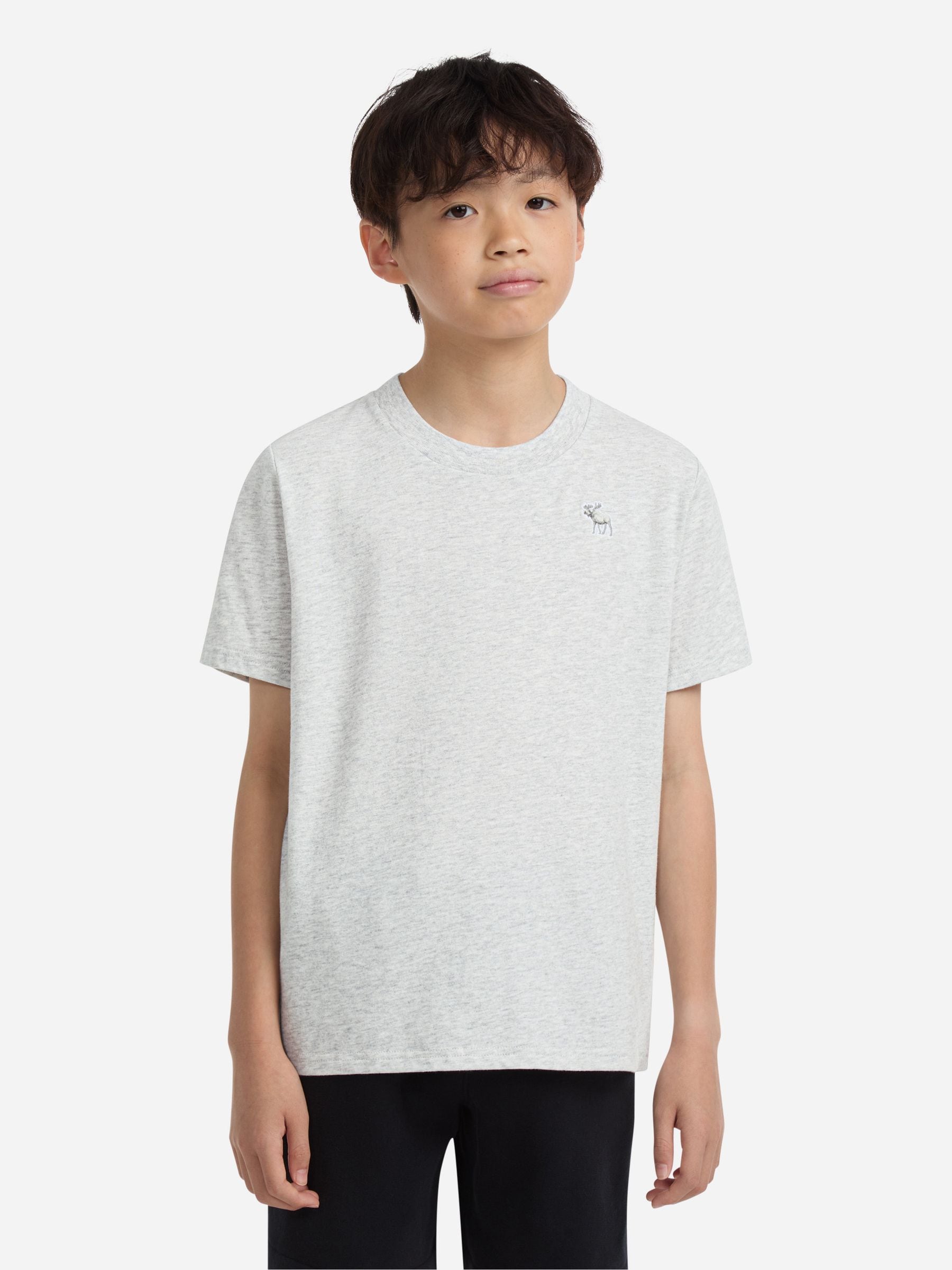 Dsiney Kidz - Abercrombie & Fitch Grey Essential T-Shirt image 1