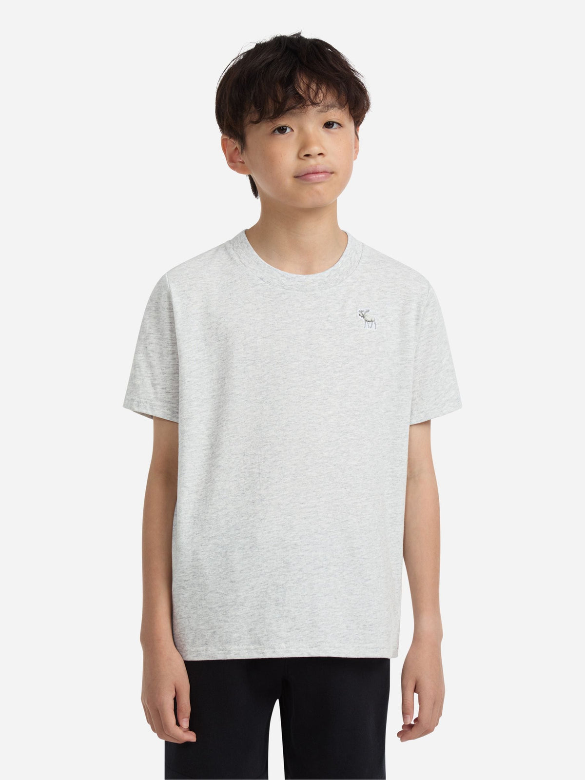 Dsiney Kidz - Abercrombie & Fitch Grey Essential T-Shirt image 1