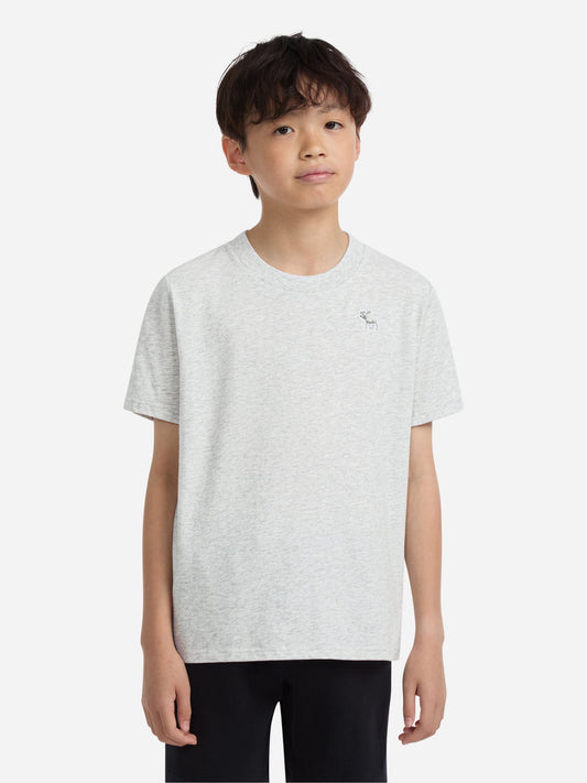 Dsiney Kidz - Abercrombie & Fitch Grey Essential T-Shirt image 1