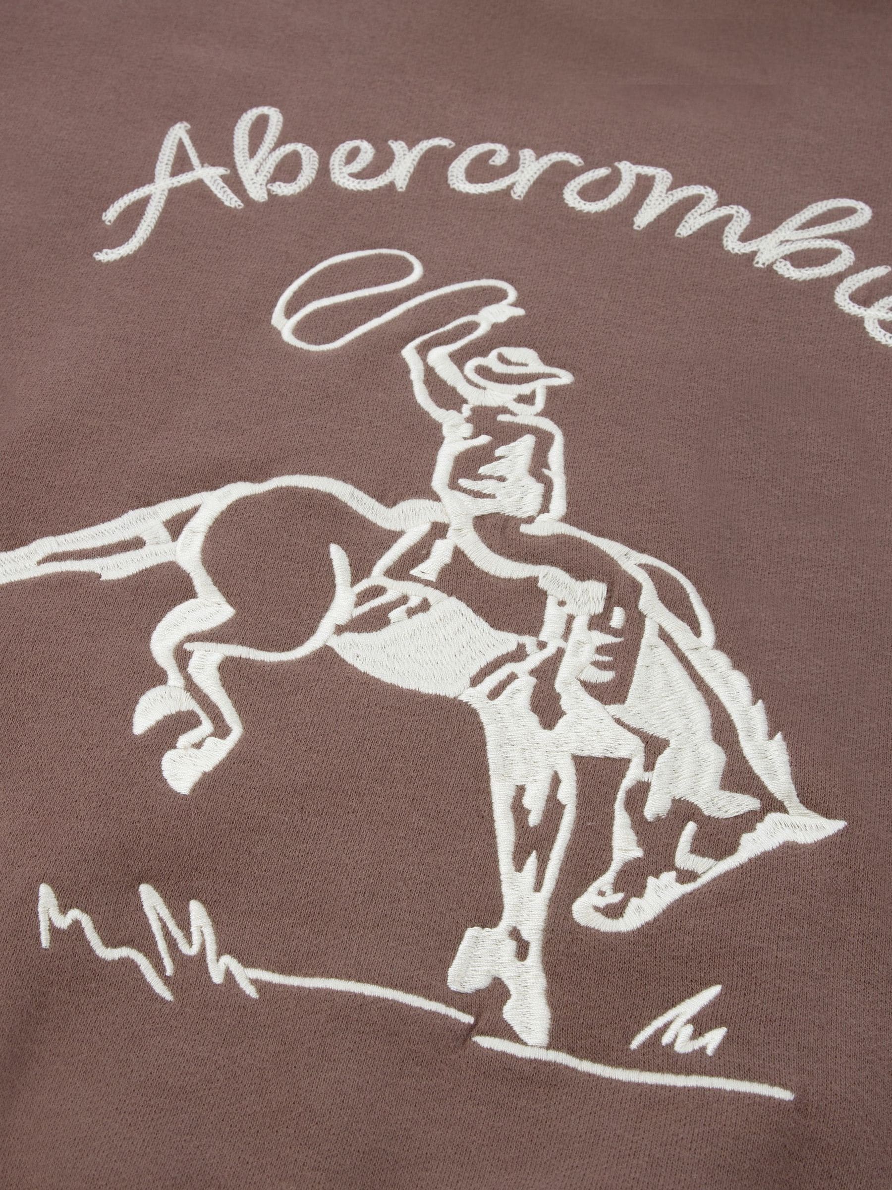 Dsiney Kidz - Abercrombie & Fitch Brown Saddle Up Pullover Hoodie image 5