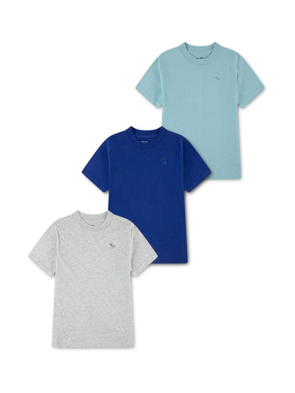 Dsiney Kidz - Abercrombie & Fitch Grey/Light Blue/Dark Blue Short Sleeve T-Shirts 3 Pack image 1