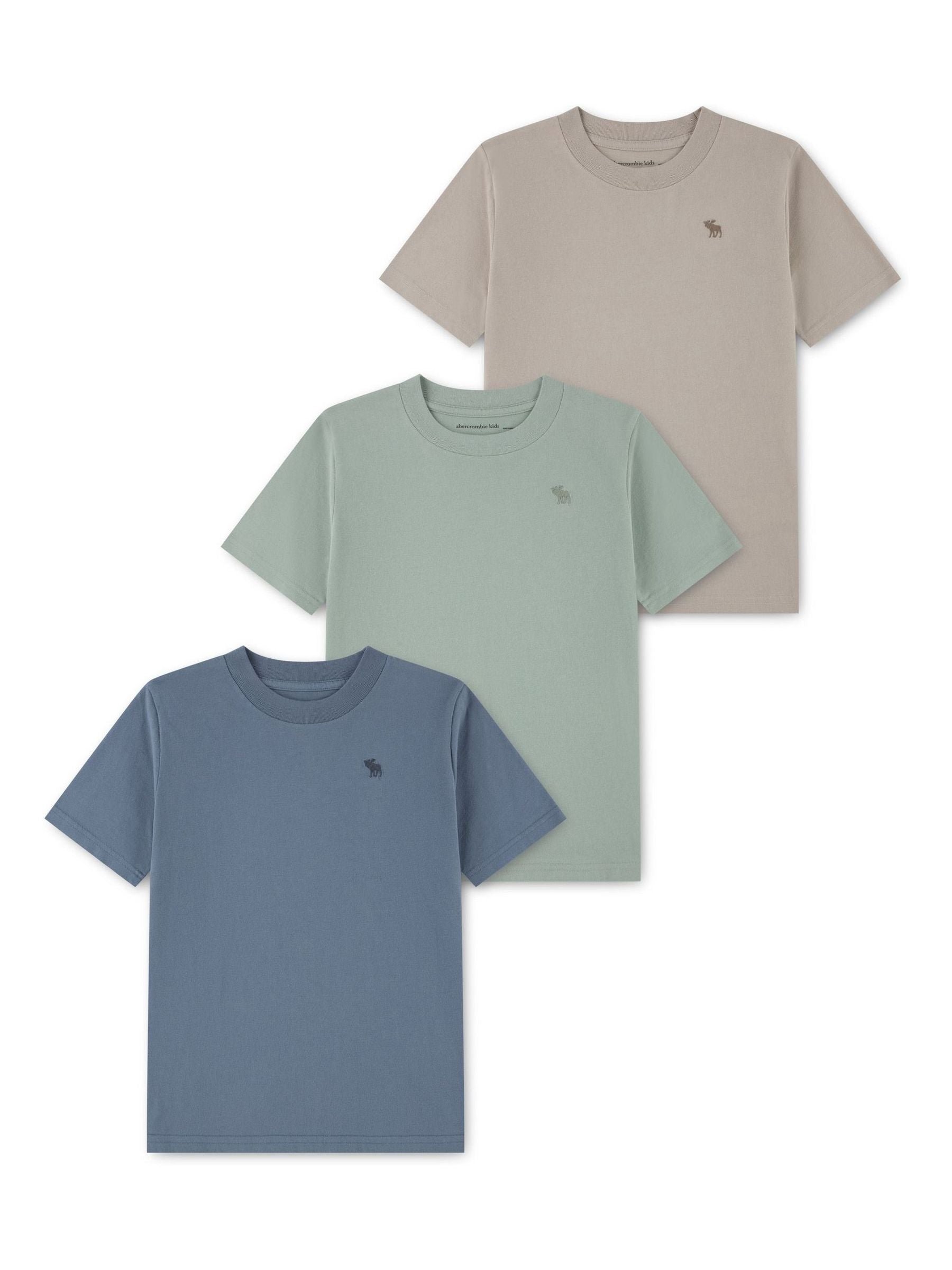 Dsiney Kidz - Abercrombie & Fitch Grey Short Sleeve T-Shirts 3 Pack image 1