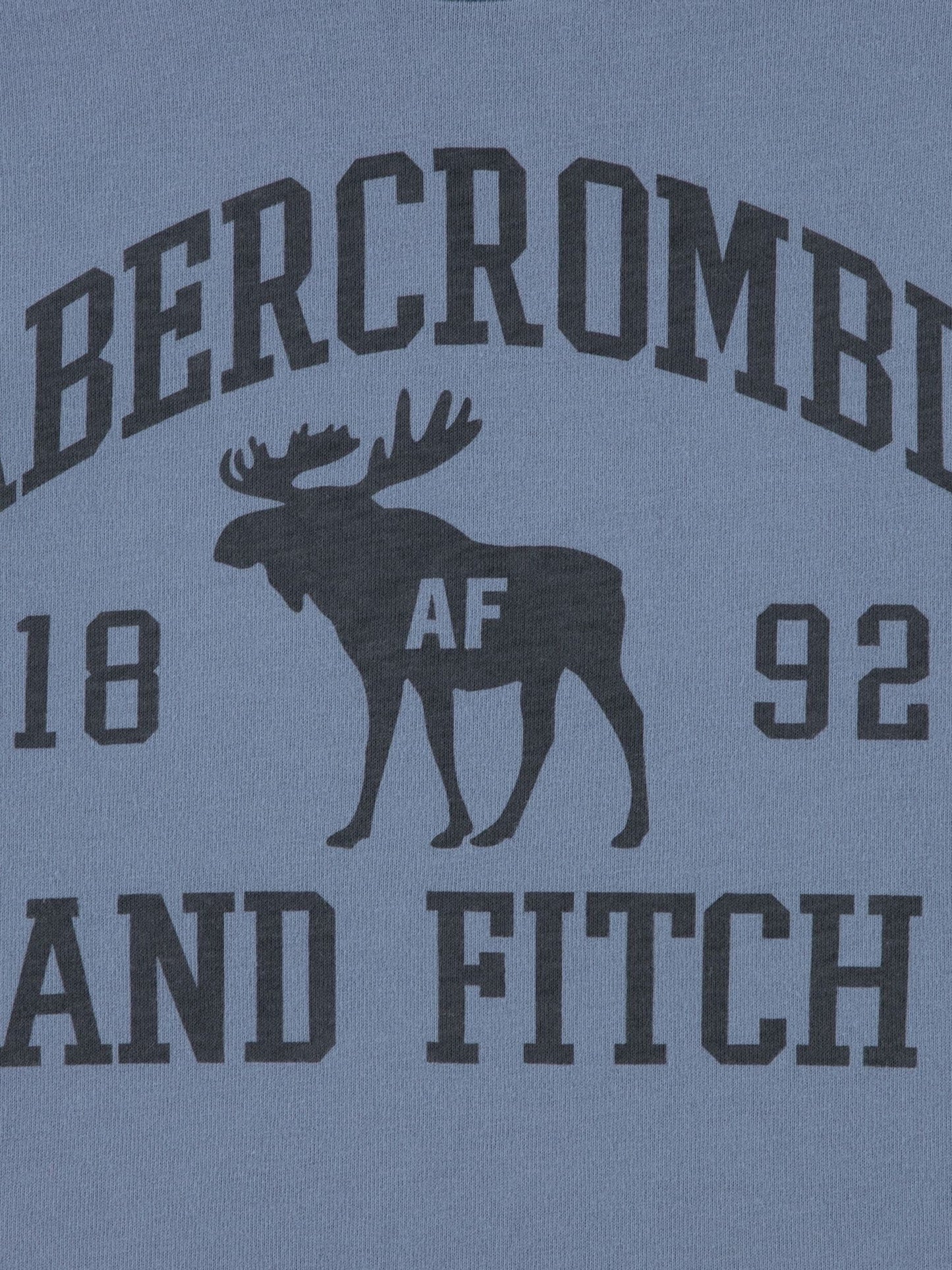 Dsiney Kidz - Abercrombie & Fitch Blue Moose Lockup T-Shirt image 3