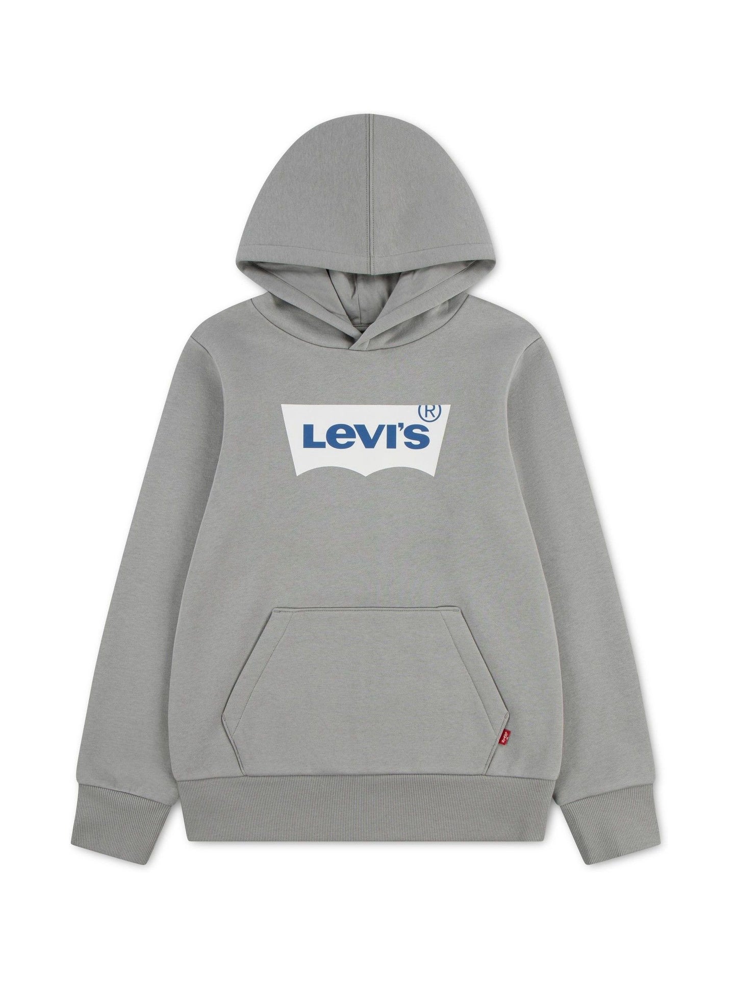 Dsiney Kidz - Levi's® Grey Batwing Pullover Hoodie image 1