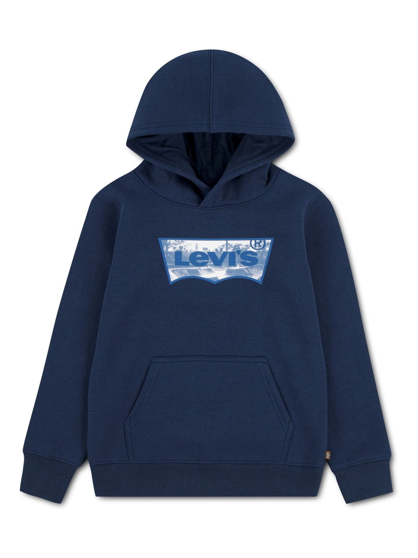 Dsiney Kidz - Levi's® Blue Skatepark Batwing Pullover Hoodie image 1