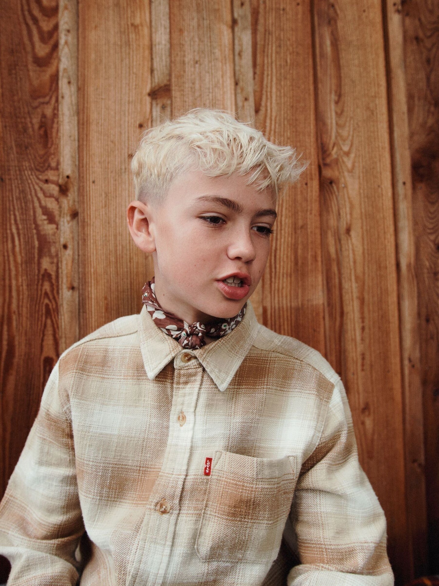 Dsiney Kidz - Levi's® Brown Shadow Plaid Flannel Shirt image 2