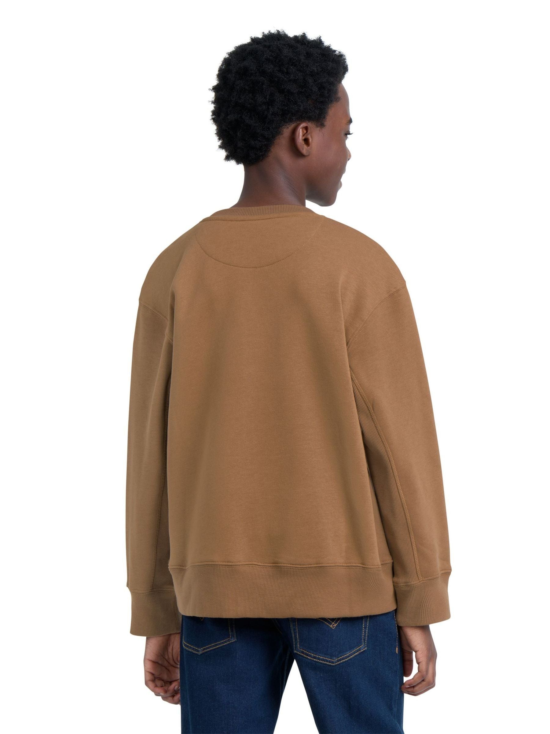 Dsiney Kidz - Levi's® Brown Vintage Collegiate Crew Neck Sweat Top image 2